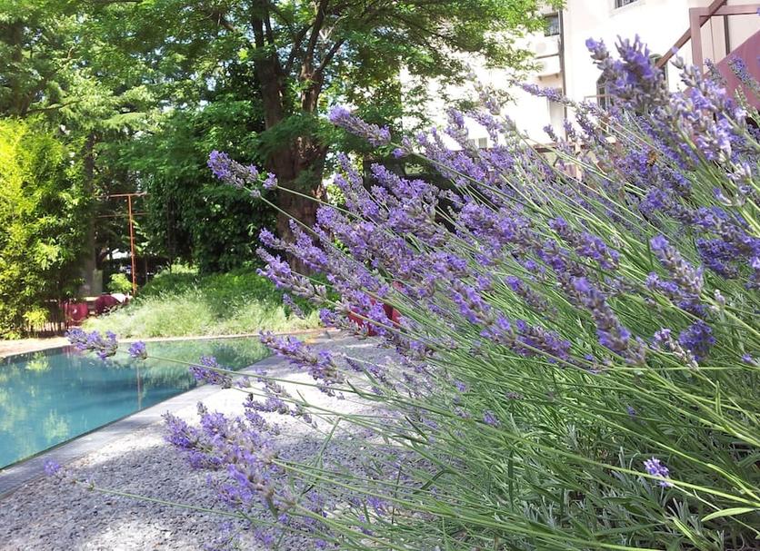 屋外の景色 写真