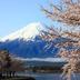 屋外の景色