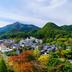 屋外の景色
