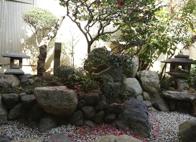 屋外の景色 写真