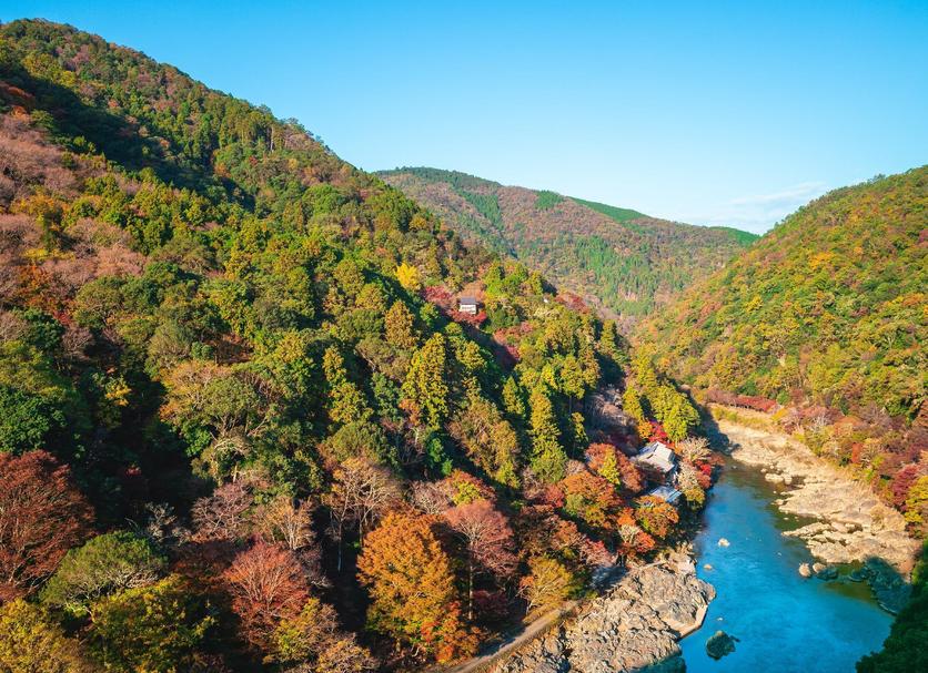 屋外の景色 写真