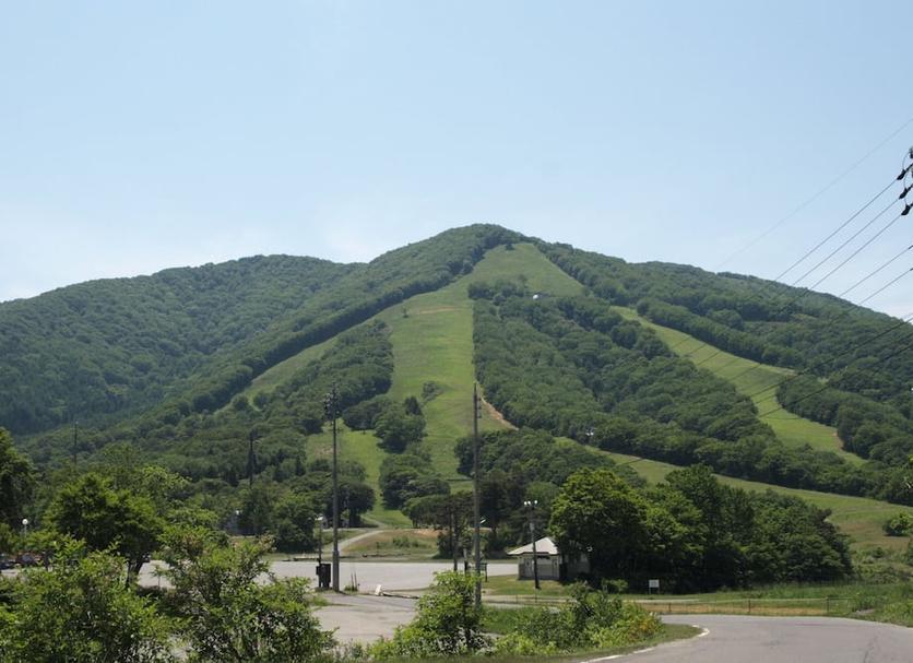 屋外の景色 写真