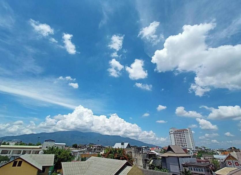 屋外の景色 写真