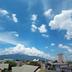 屋外の景色