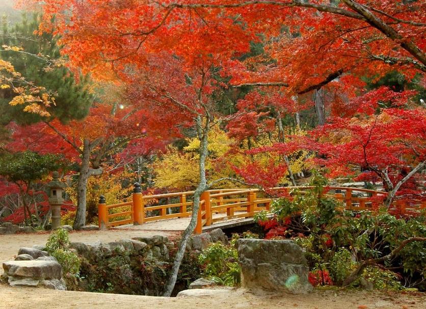 屋外の景色 写真