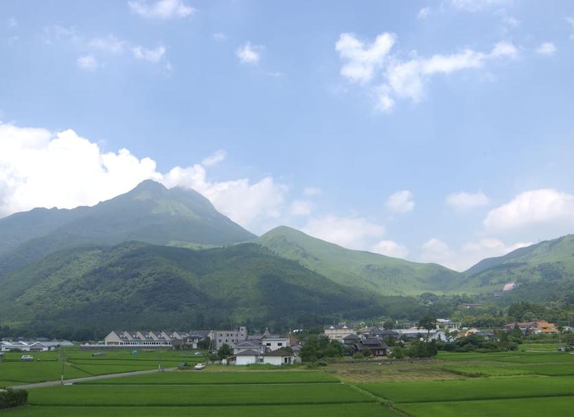 屋外の景色 写真