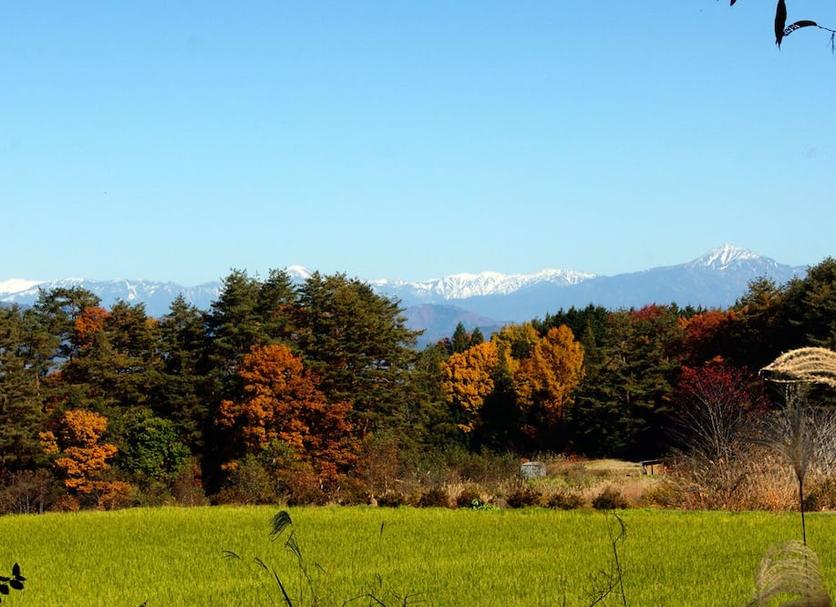 屋外の景色 写真