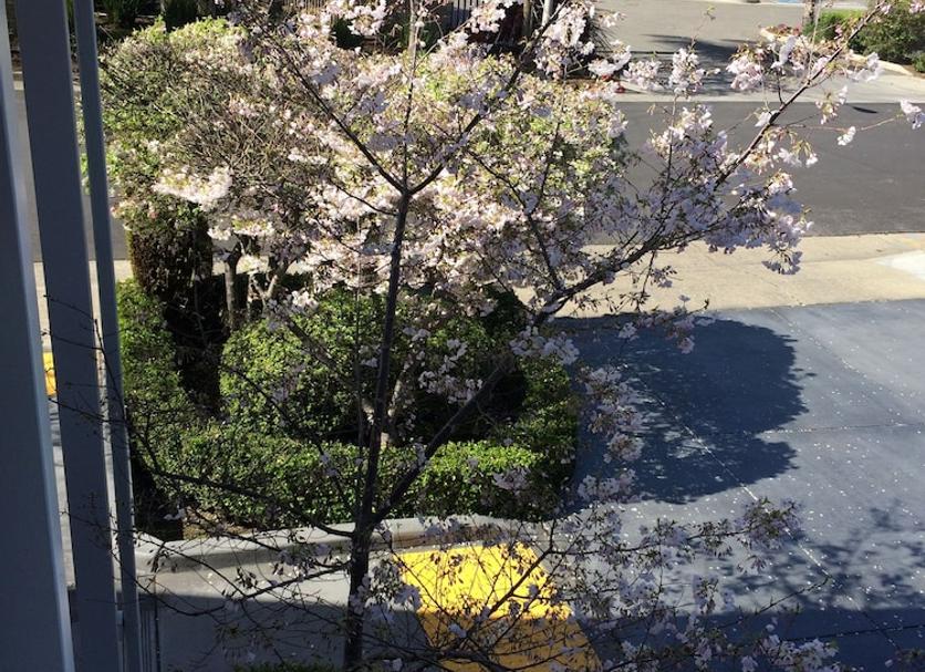 屋外の景色 写真
