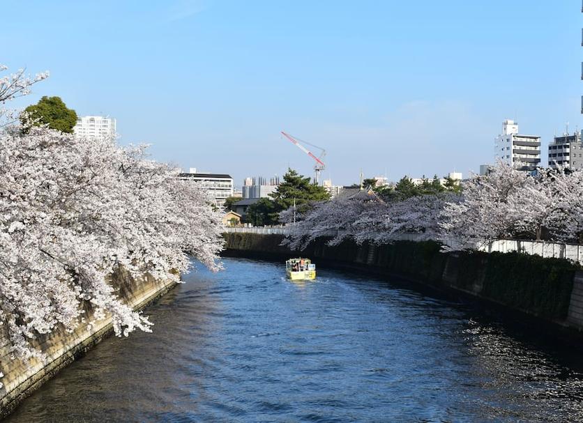 屋外の景色 写真
