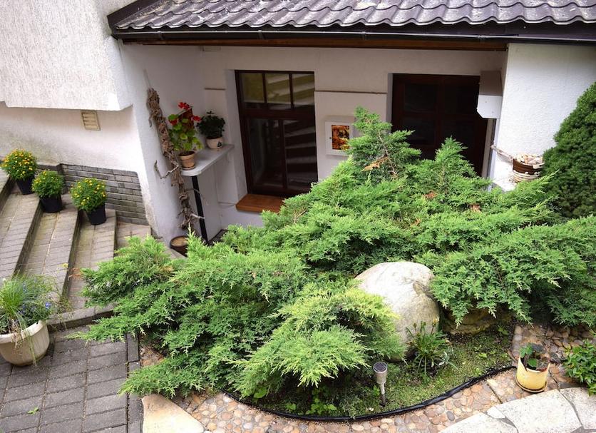 屋外の景色 写真
