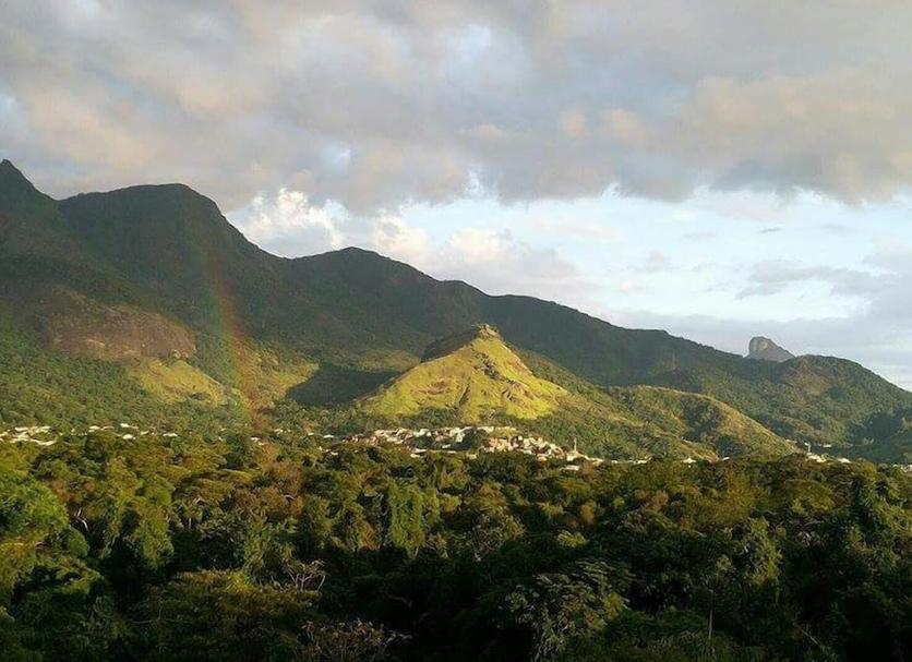 屋外の景色 写真