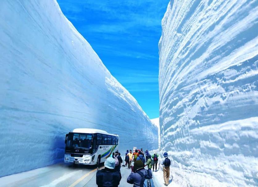 その他 写真