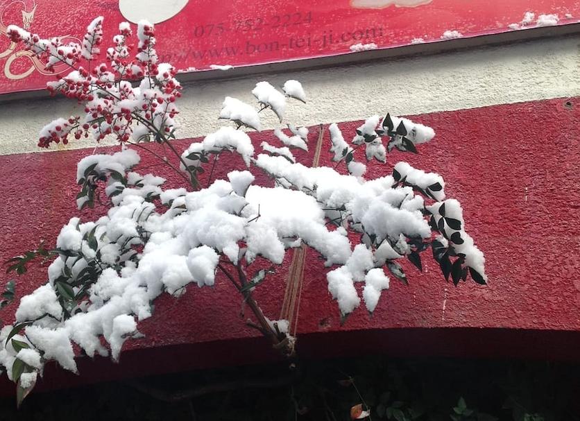 建物 写真