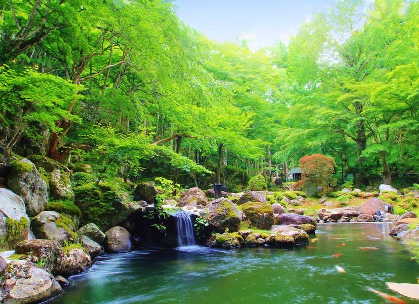 屋外の景色 写真