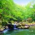 屋外の景色
