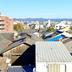 屋外の景色