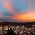 屋外の景色