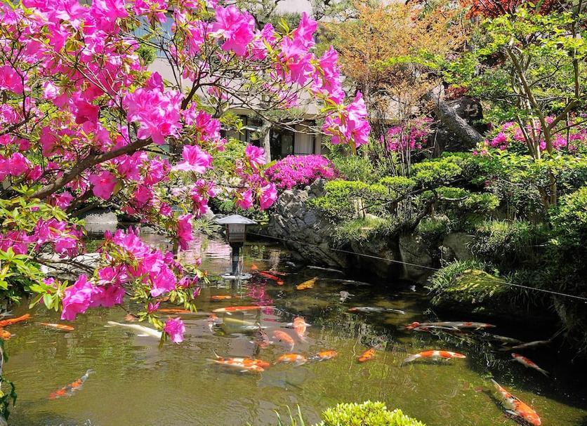 屋外の景色 写真