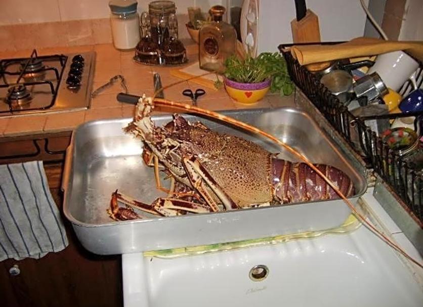 その他 写真