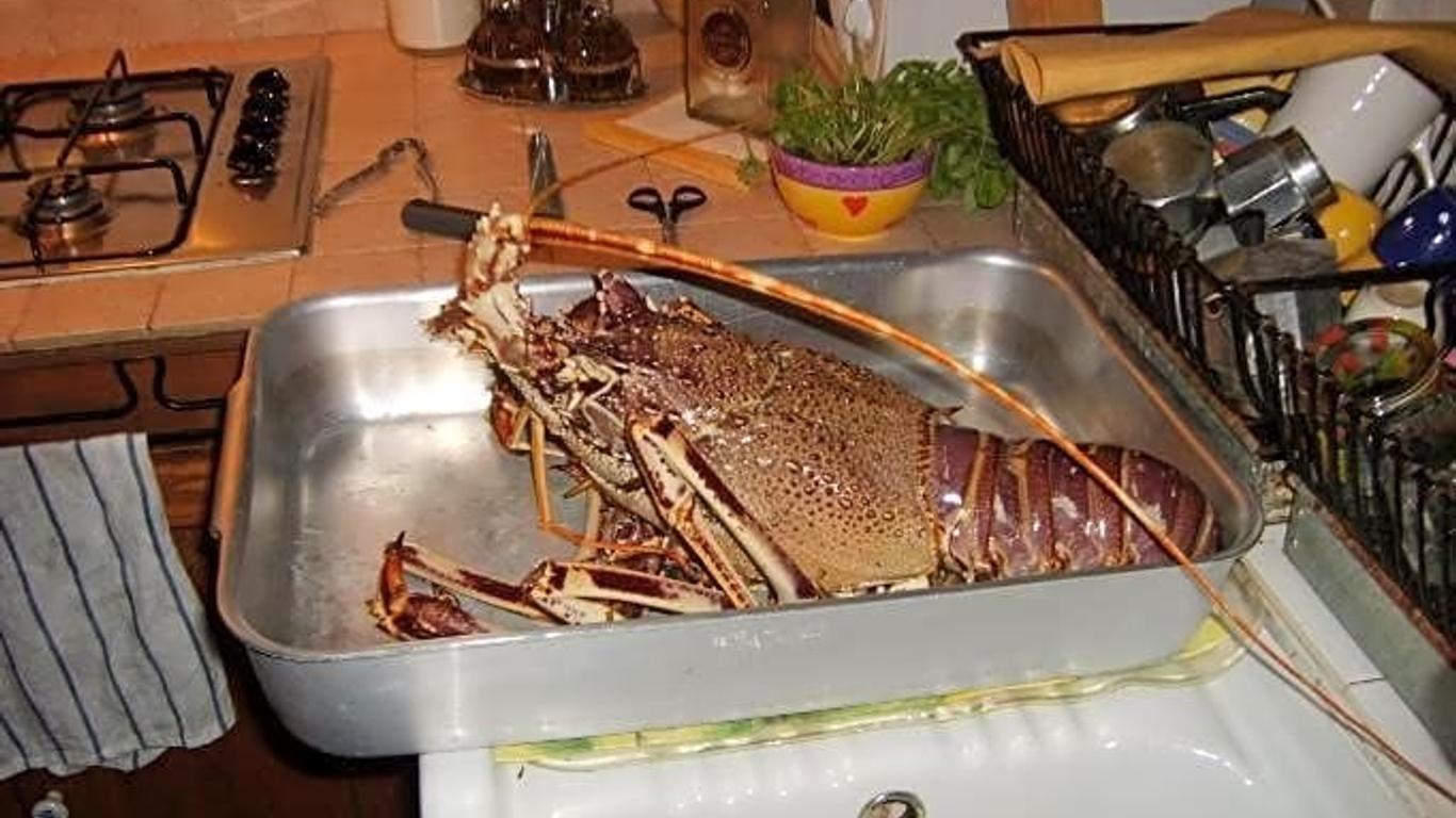 ブルー バブ