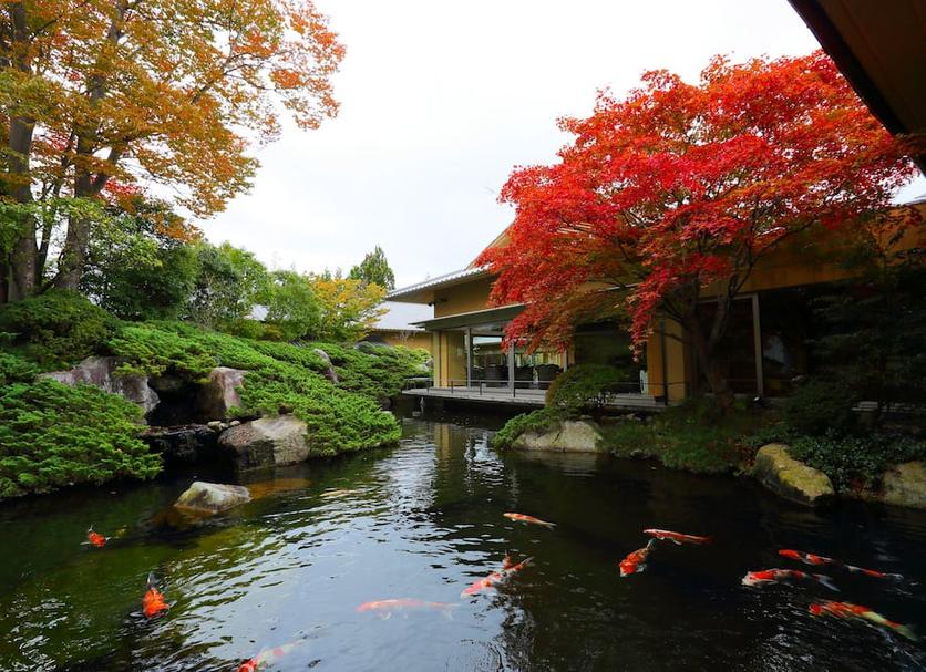 屋外の景色 写真