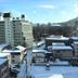 屋外の景色