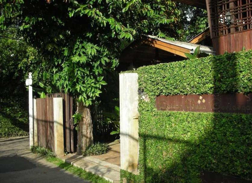 屋外の景色 写真