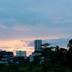屋外の景色