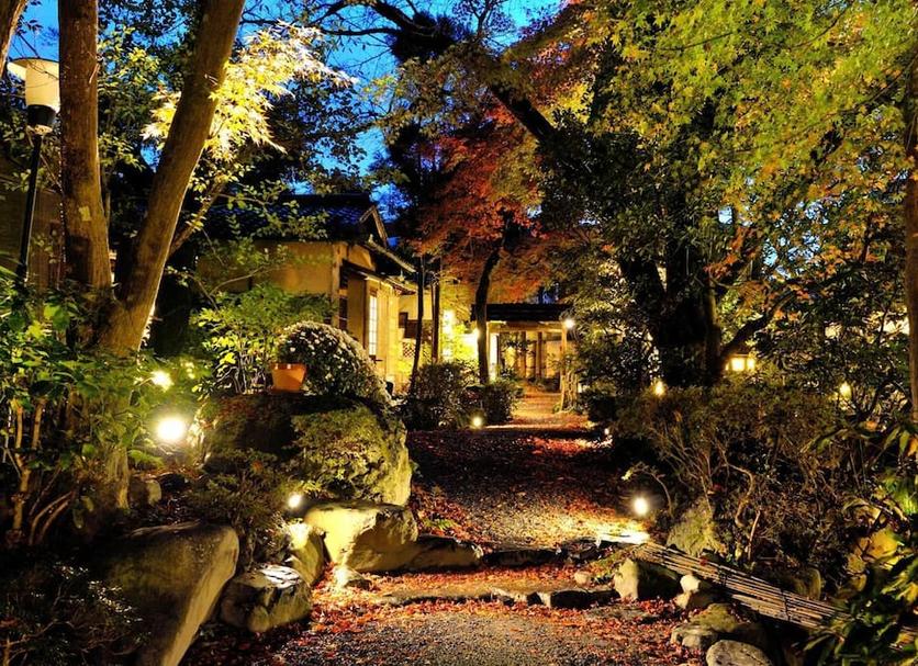 屋外の景色 写真