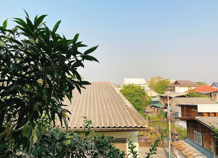 屋外の景色 写真