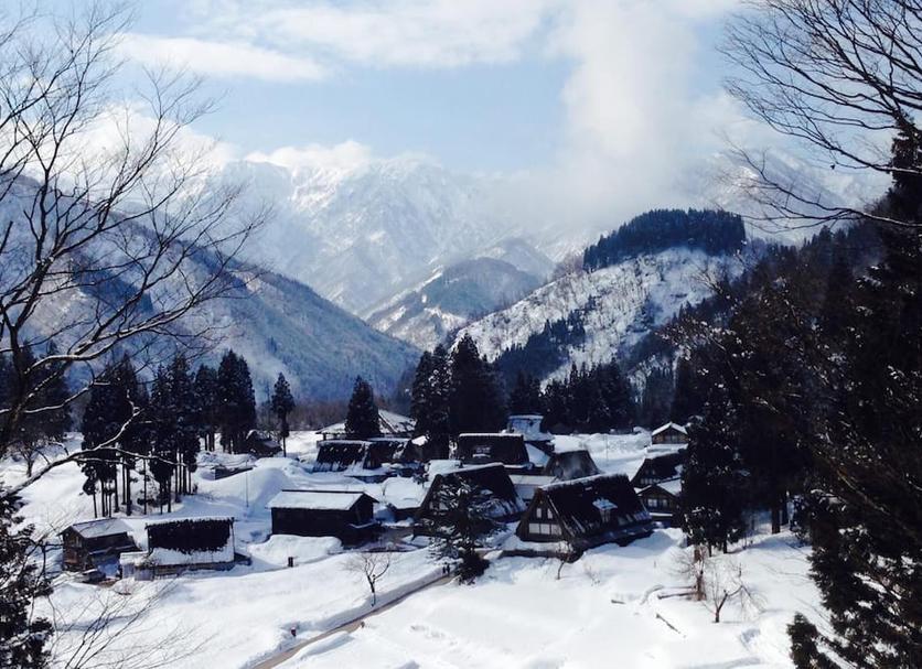屋外の景色 写真