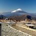 屋外の景色