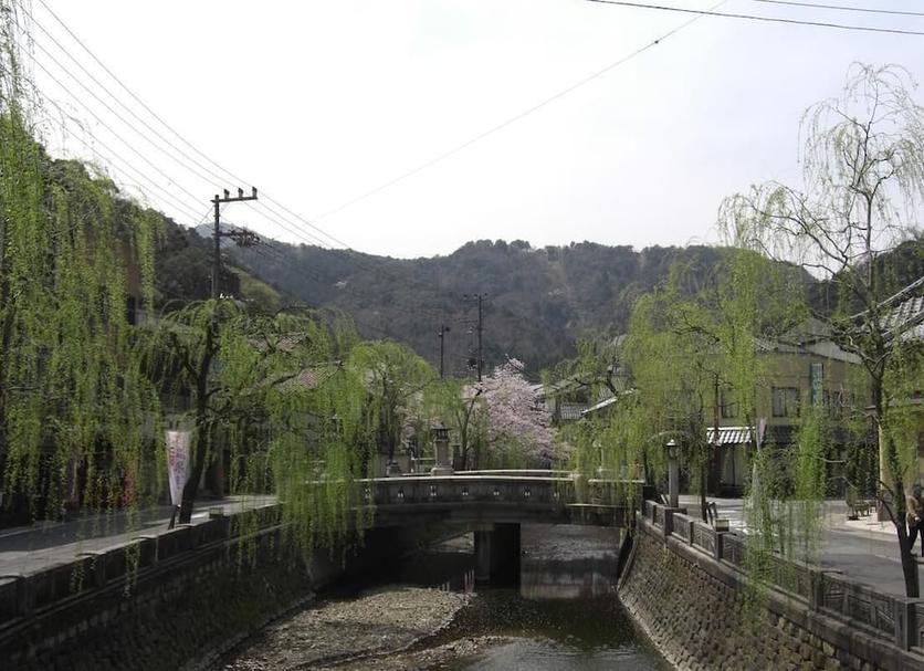屋外の景色 写真