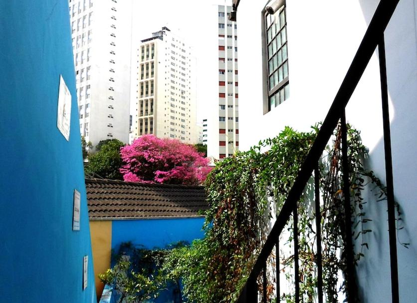 屋外の景色 写真