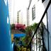 屋外の景色