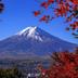 屋外の景色