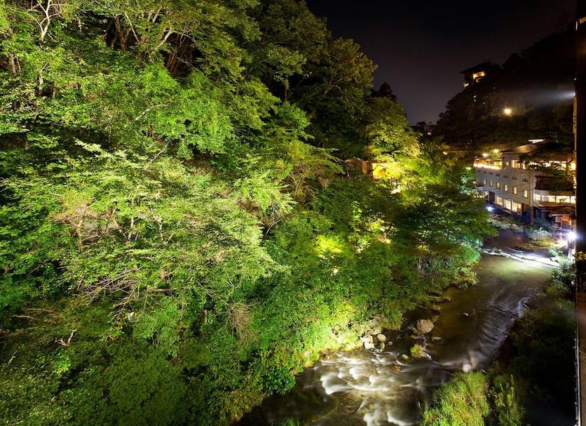 屋外の景色 写真