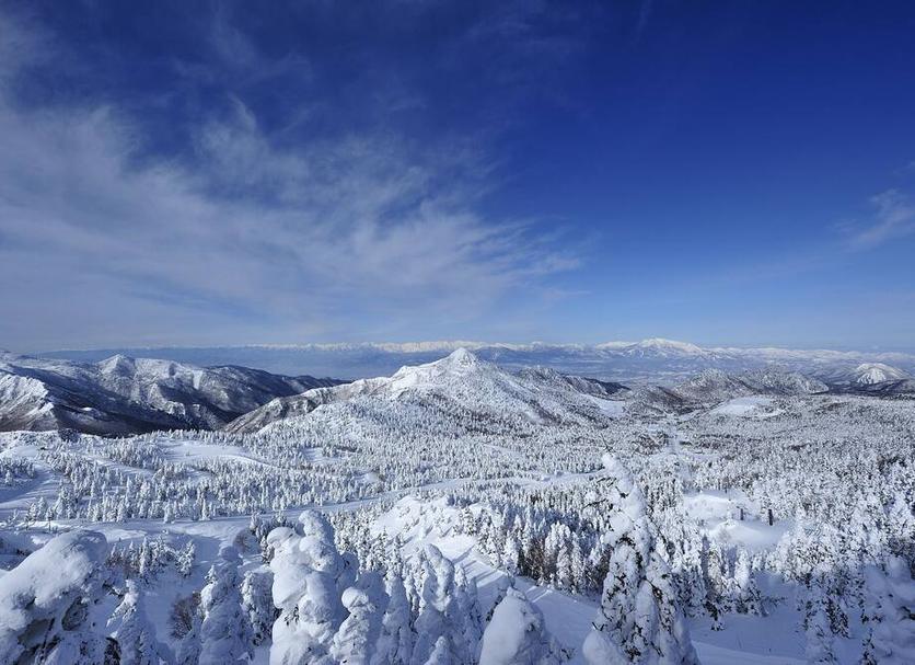屋外の景色 写真