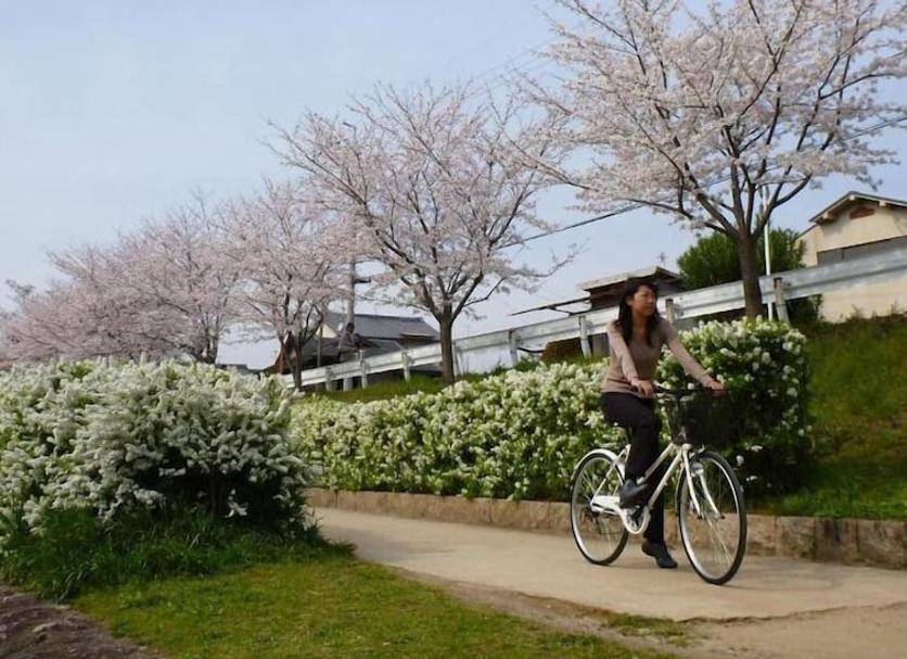 屋外の景色 写真