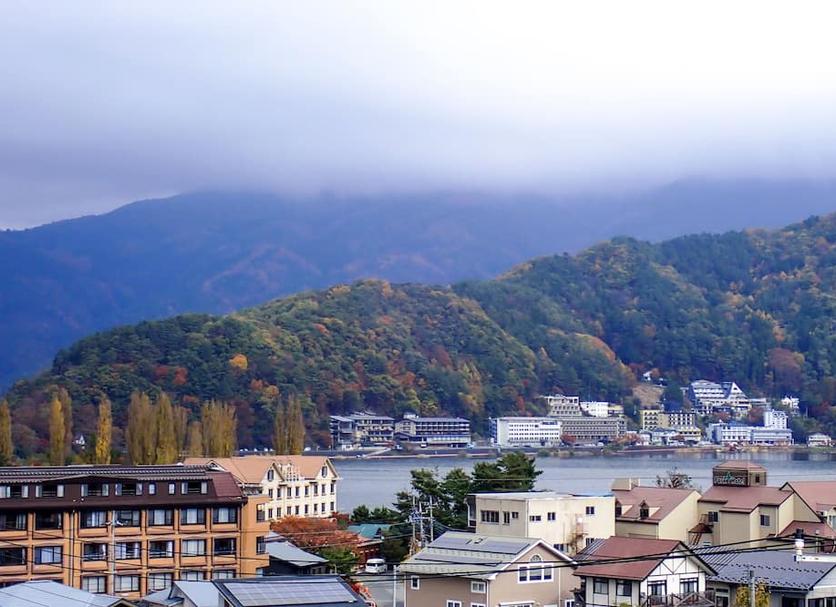 屋外の景色 写真