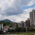 屋外の景色