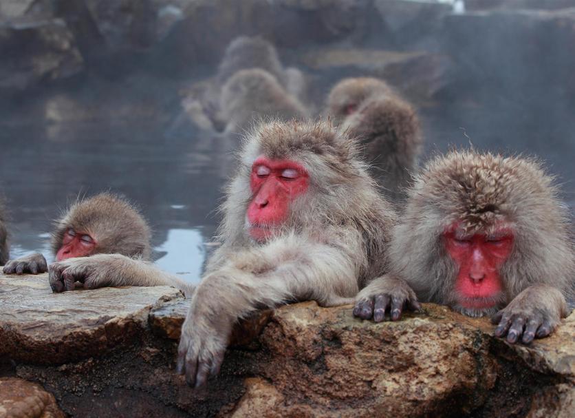 その他 写真