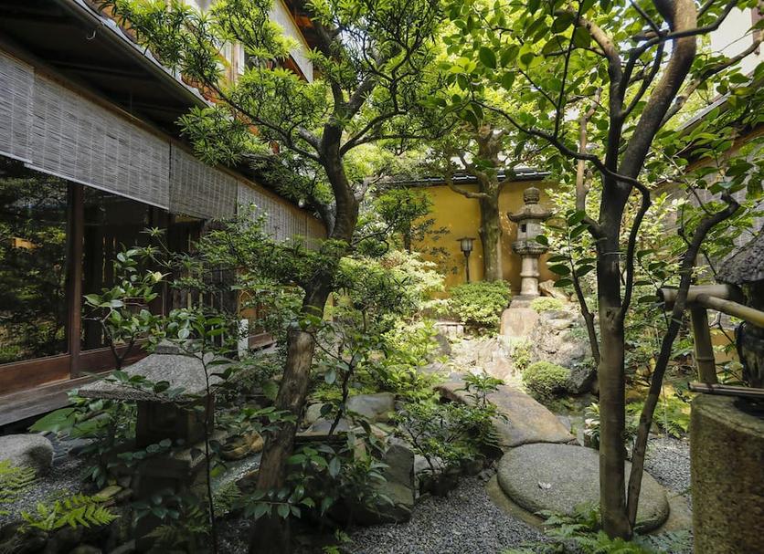 屋外の景色 写真