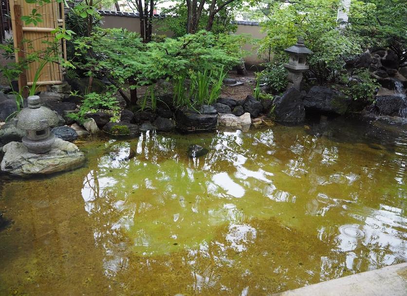 屋外の景色 写真