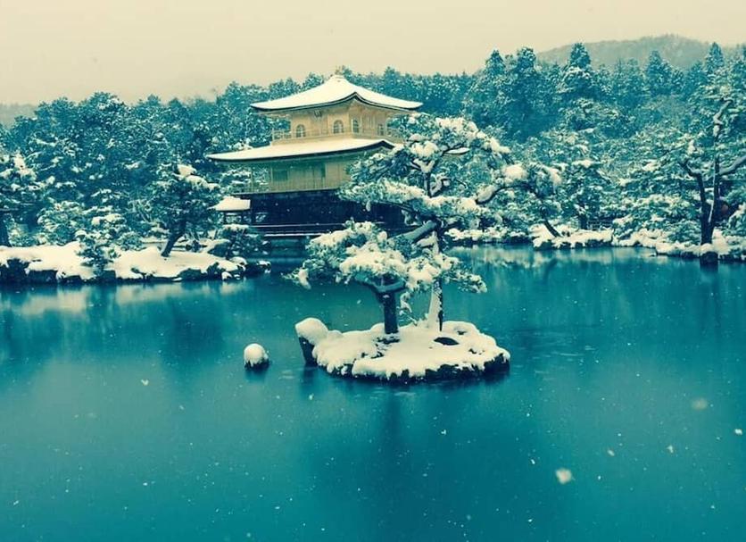 屋外の景色 写真
