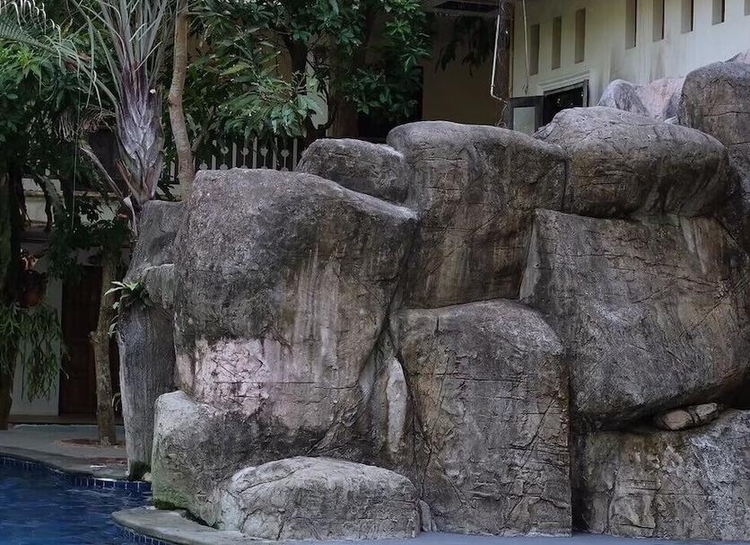 屋外の景色 写真