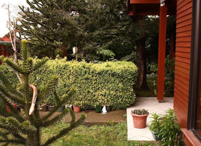 屋外の景色 写真