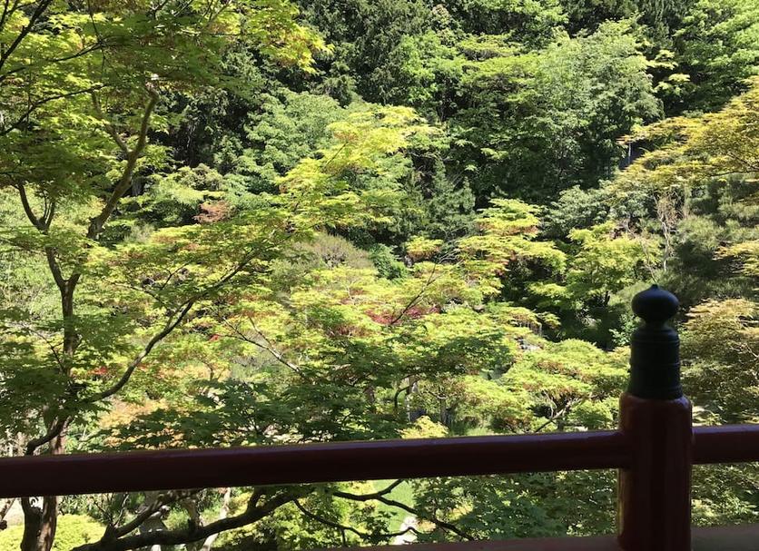 屋外の景色 写真