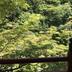 屋外の景色