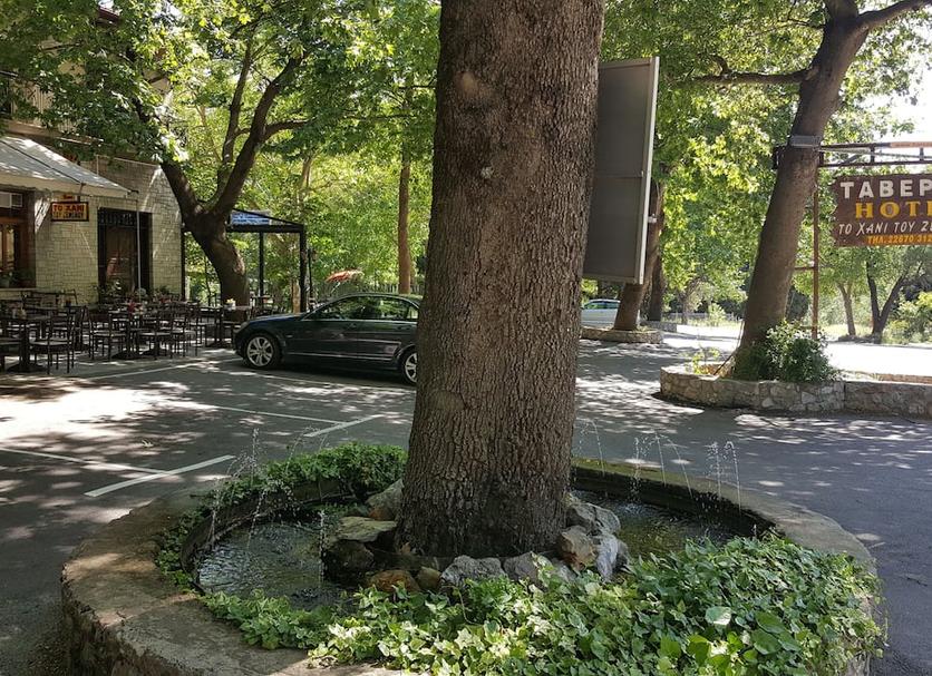 屋外の景色 写真